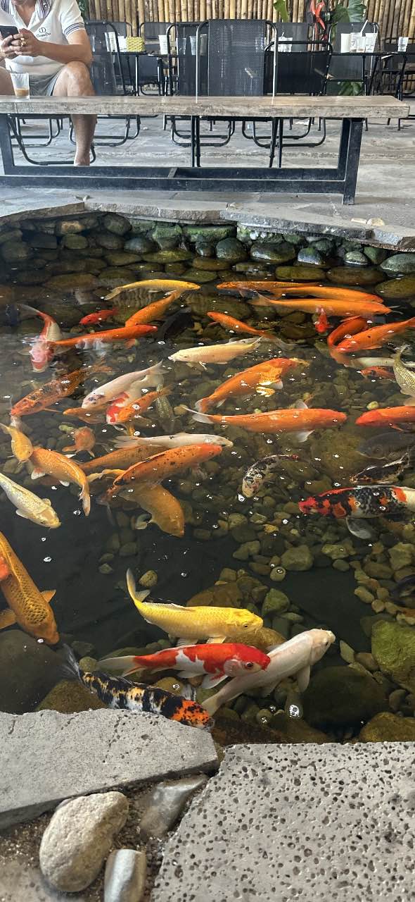 Đất thổ cư thôn 3 Hàm Liêm 150m² giá 650 triệu - Sổ đỏ chính chủ!