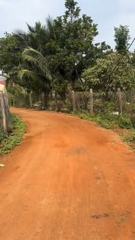 Đất vườn Sông Ray 3980m² giá 2 tỷ - Cơ hội đầu tư tuyệt vời!