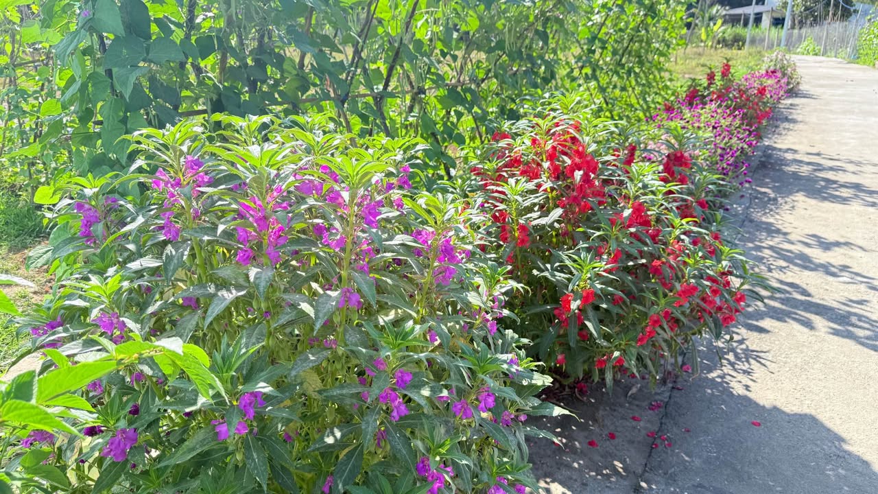 Đất nền Diên Phước, Diên Khánh 112m² giá 650 triệu - Cơ hội đầu tư hấp dẫn!