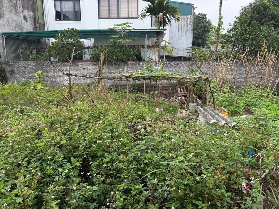 Nhà riêng Xóm Tây, Vân Nội, Đông Anh 40m² giá 3.1 tỷ - Cơ hội đầu tư tuyệt vời!