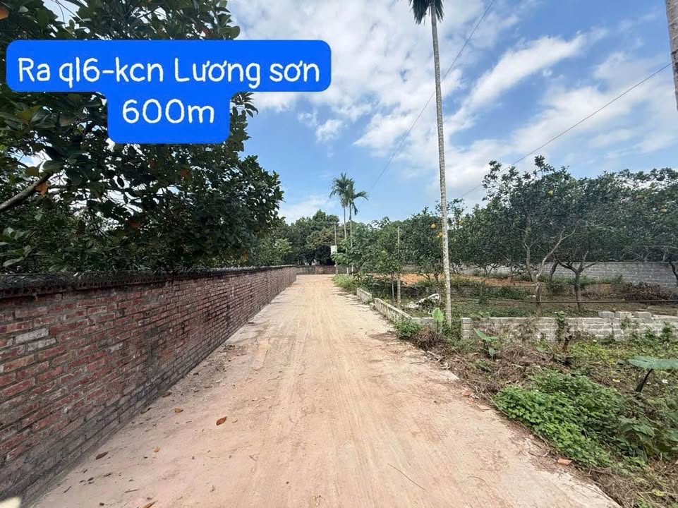 Căn hộ 108m² tại xã Liên Sơn, huyện Lương Sơn - Giá chỉ vài trăm triệu