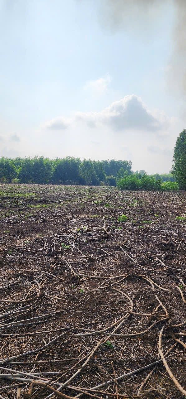 Đất Bàu Cạn 6.370m² giá 7.644 tỷ - Mặt tiền 66m, pháp lý rõ ràng!