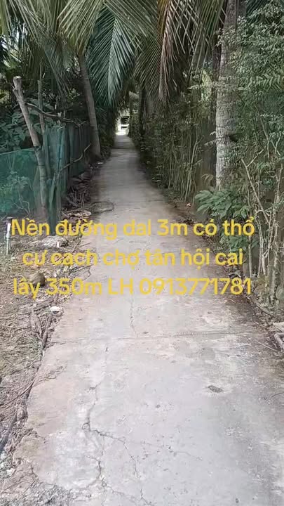 Đất nền xã Tân Hội 625m² giá 600 triệu - Sổ hồng chính chủ