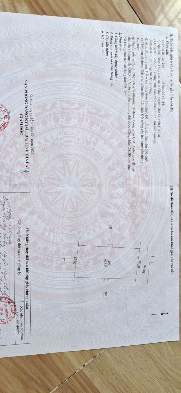 Đất thổ cư 540m² tại Thôn Thủy Lợi, Gia Lai - Bán gấp chỉ 700 triệu!