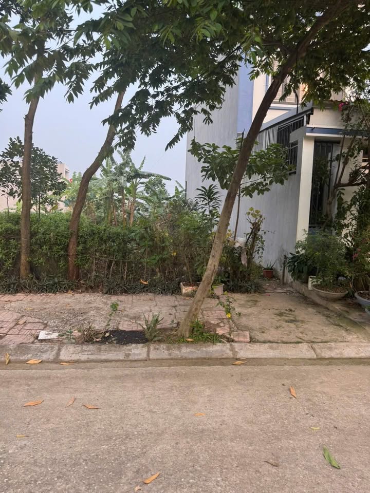 Đất thổ cư Kim Long, Tam Dương 110m² giá 2 tỷ - Cơ hội đầu tư hiếm có!