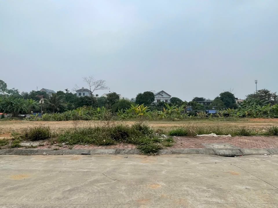 Lô đất trục chính TĐC Phú Xá 147,5m² giá 2,55 tỷ - Đầu tư sinh lời ngay!