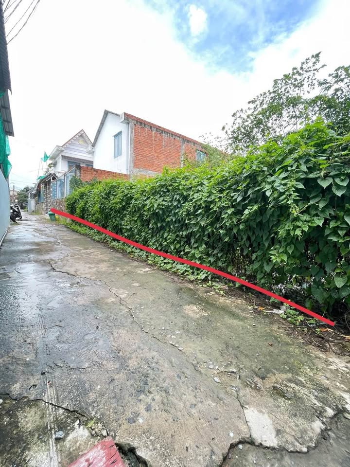 Đất nền thổ cư 200m² tại hẻm 81 Nguyễn Cử Luyện, Tân An - Giá chỉ 1.3 tỷ!