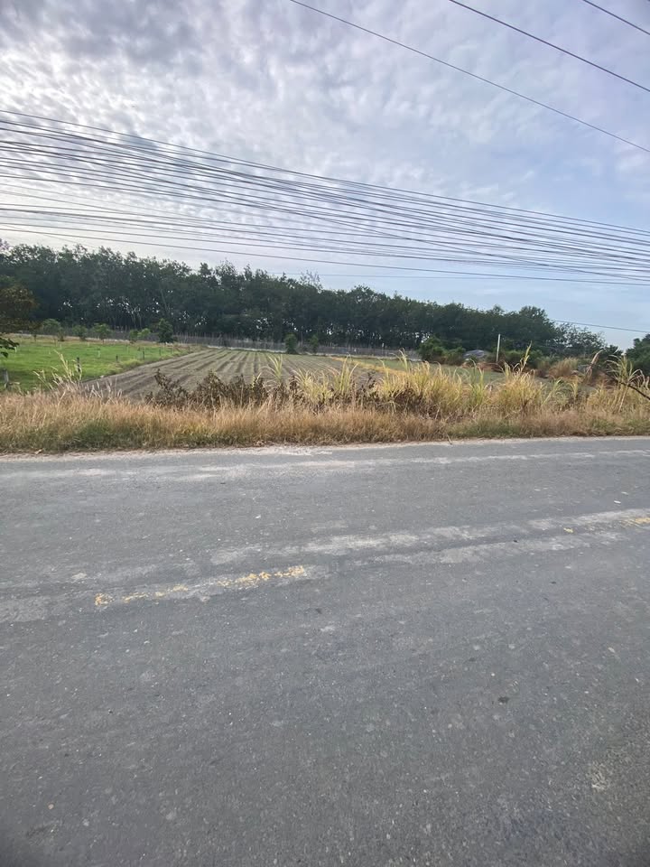 Đất thổ cư mặt tiền đường nhựa Lục Viên, xã Đức Lập Hạ, 270m² giá 1.9 tỷ - Đầu tư sinh lời!