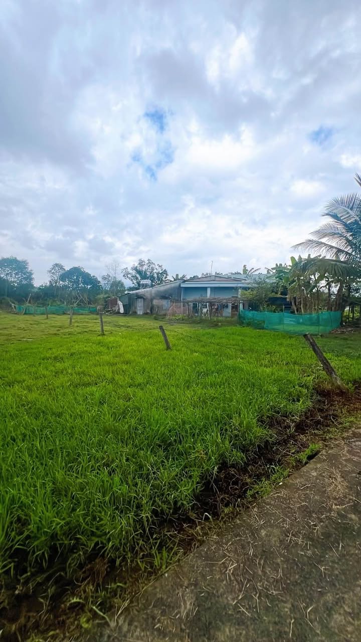 Đất nền Hòa Khương Đà Nẵng 236m² giá 1.2 tỷ - View hồ Phú Sơn thoáng mát!