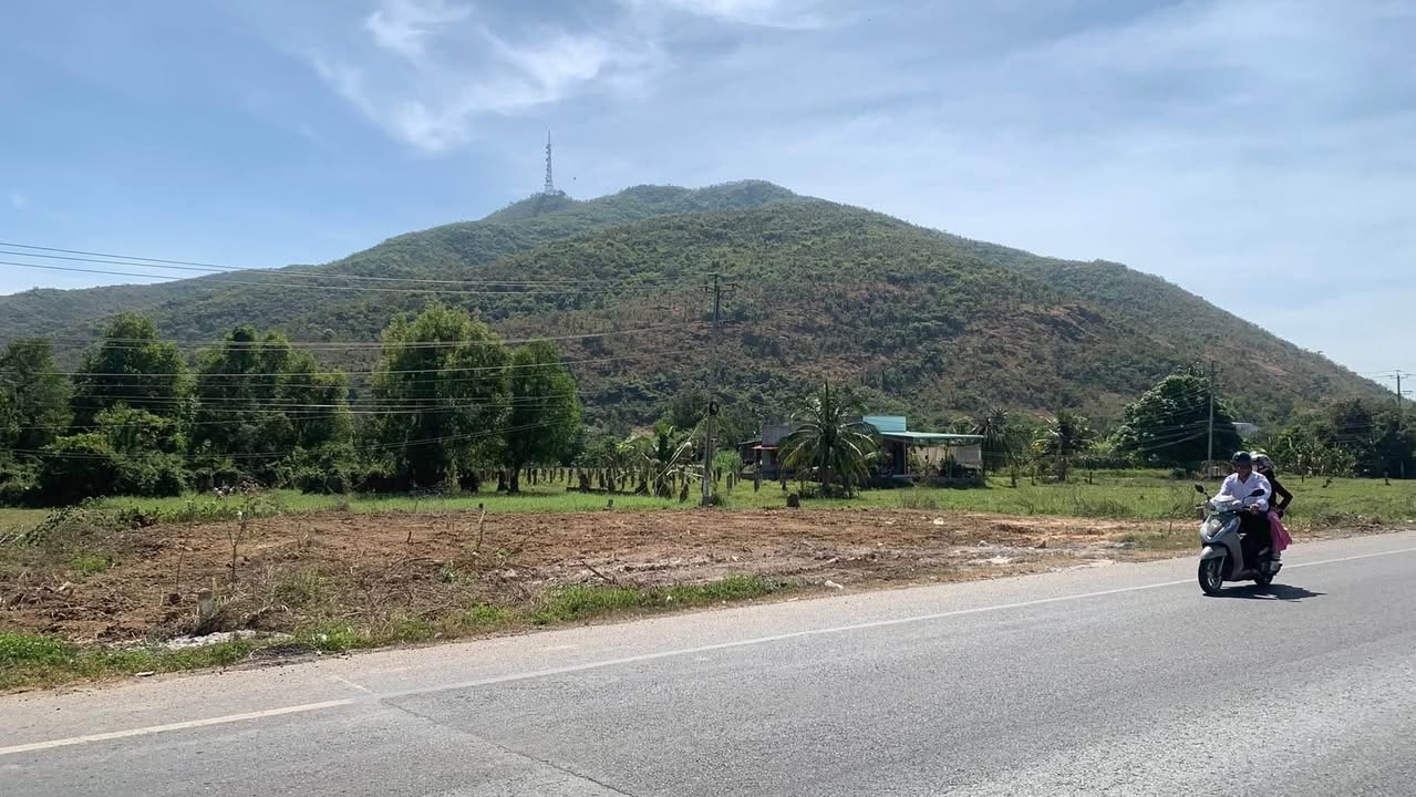 Đất nền thổ cư 1300m² mặt tiền QL1A - Giá chỉ 3.5 tỷ thương lượng