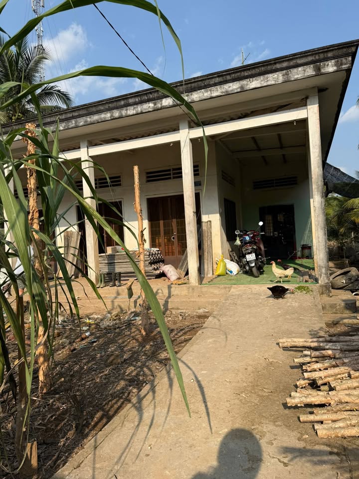 Đất thổ cư Thạnh Ngãi, Mỏ Cày Bắc 1,635m² giá 1.4 tỷ - Đầu tư sinh lời ngay!