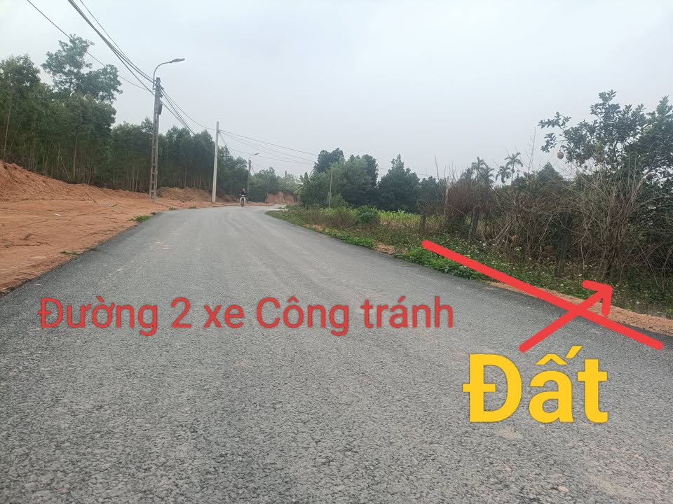 Đất nền Đạo Tú, Tam Dương 1482m² giá thỏa thuận - Tiềm năng đầu tư tuyệt vời!