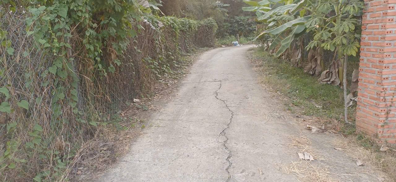 Đất nền Tân Uyên Bình Dương 226m² giá chỉ 1x tỷ - Cơ hội đầu tư tuyệt vời!