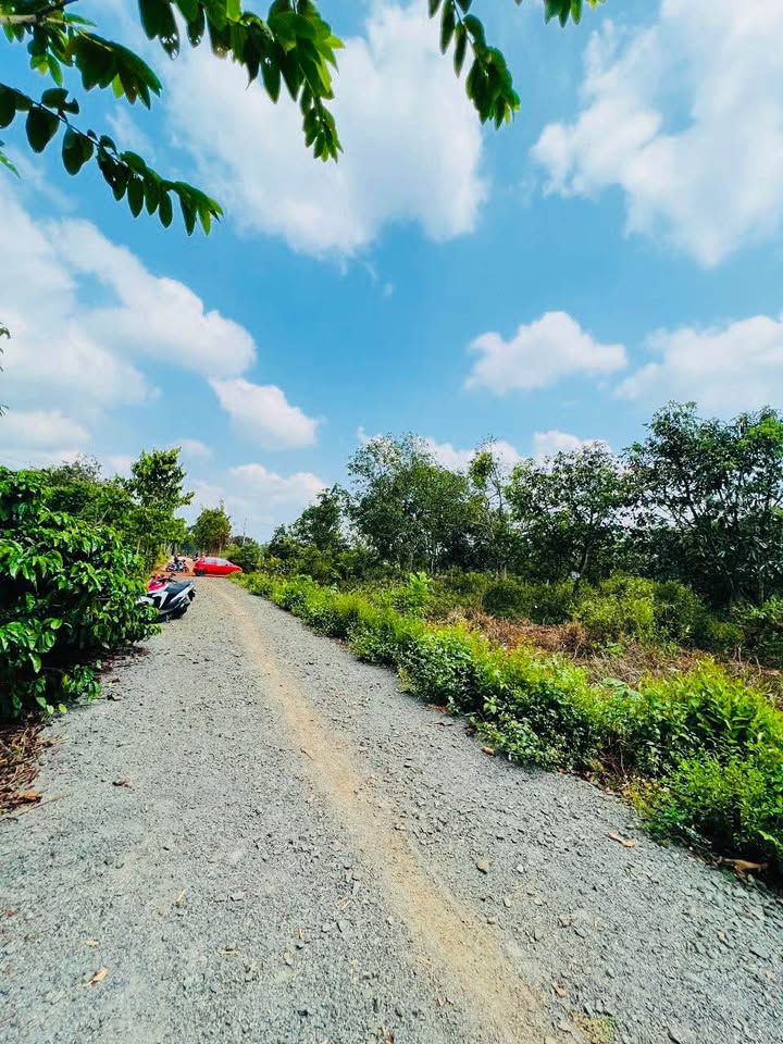 Đất thổ cư 200m² tại Thôn 2, Buôn Ma Thuột - Bán gấp chỉ 450 triệu!