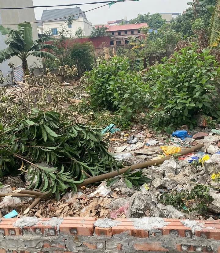 Đất nền Võng La, Đông Anh 66m² giá thỏa thuận - Đường ô tô thông thoáng