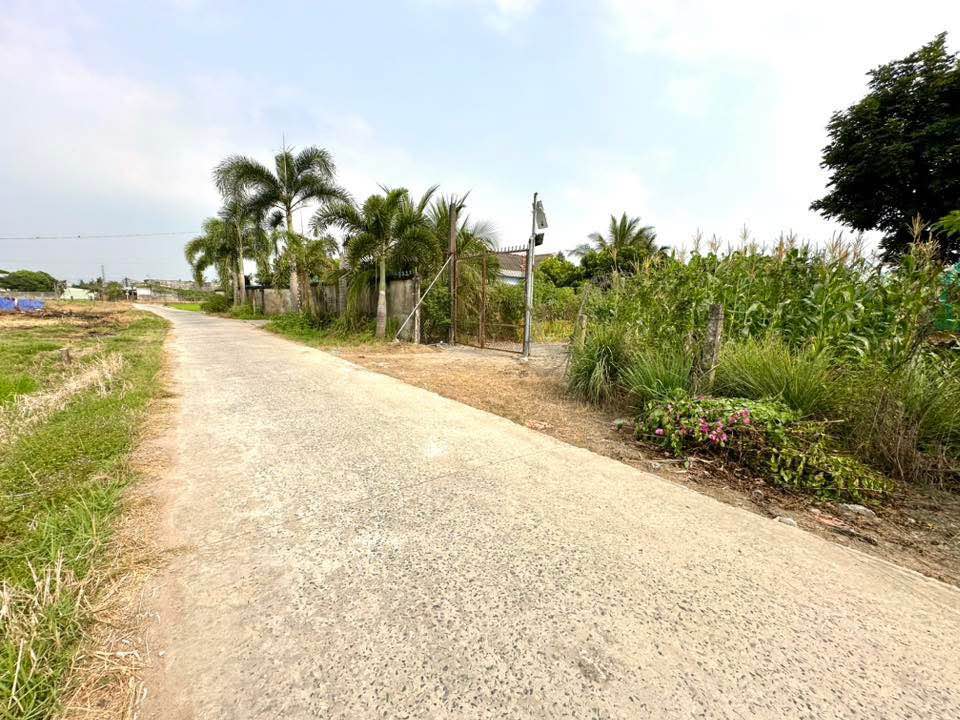 Đất nền Ấp 7 Nhựt Chánh 1210m² giá 2.7 tỷ - Đầu tư sinh lời bền vững!