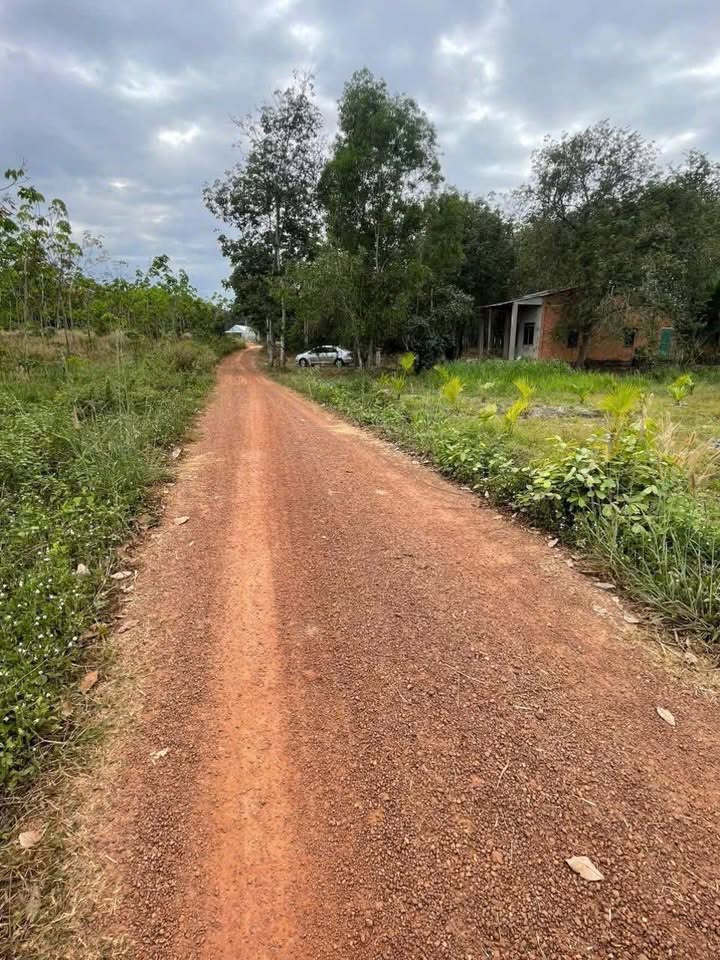 Đất nền An Bình, Phú Giáo, Bình Dương 1540m² giá 900 triệu - Đầu tư tiềm năng!