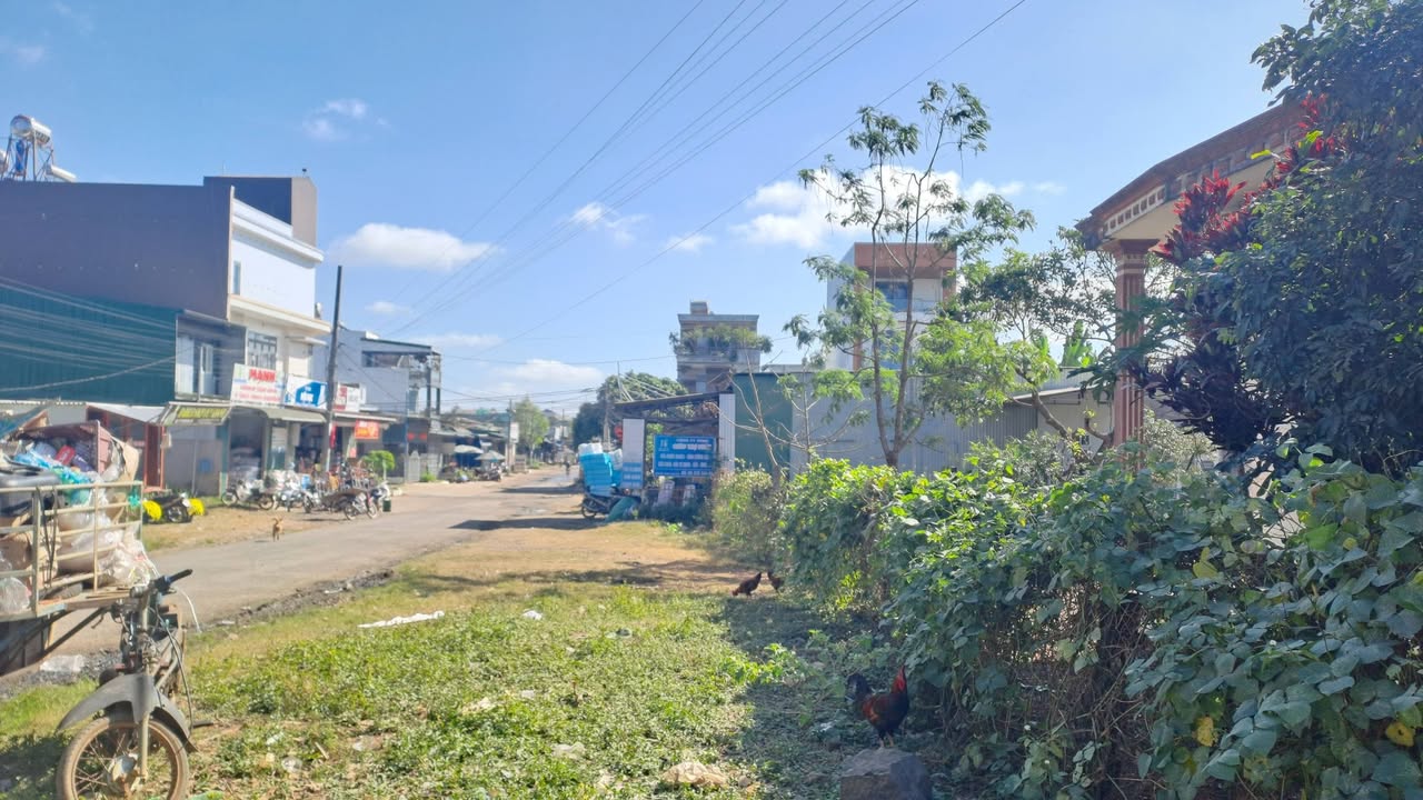 Đất thổ cư 100m² Đường Lê Thị Hồng Gấm - Nơi buôn bán thuận lợi