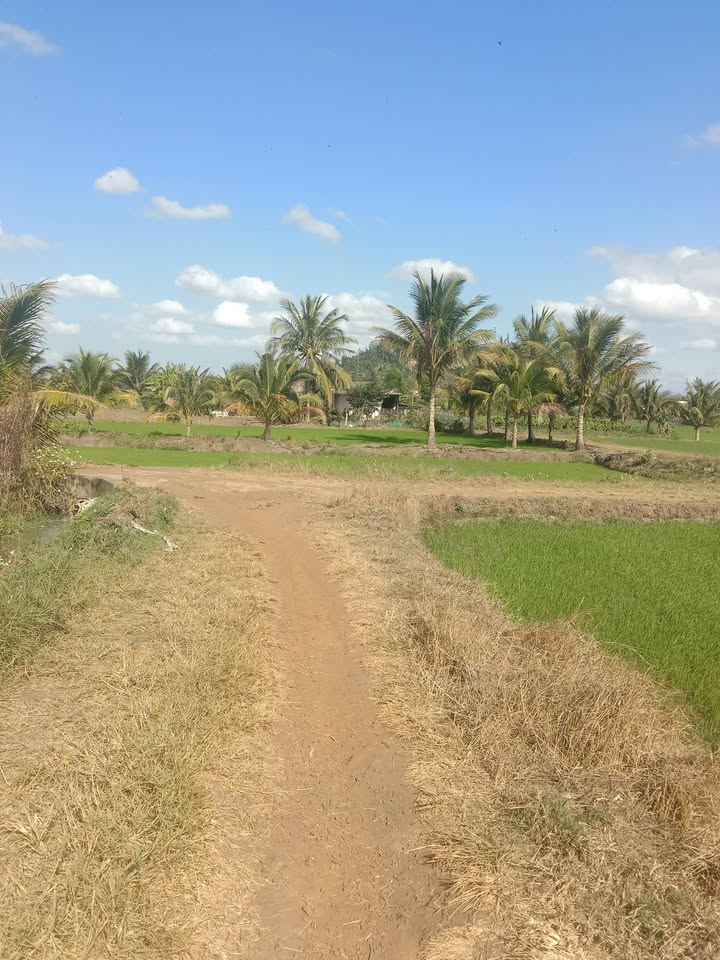 Nhà vườn tại Thôn 5, Xã Ea Đar, 5000m² giá 1.8 tỷ - Không thể bỏ qua!