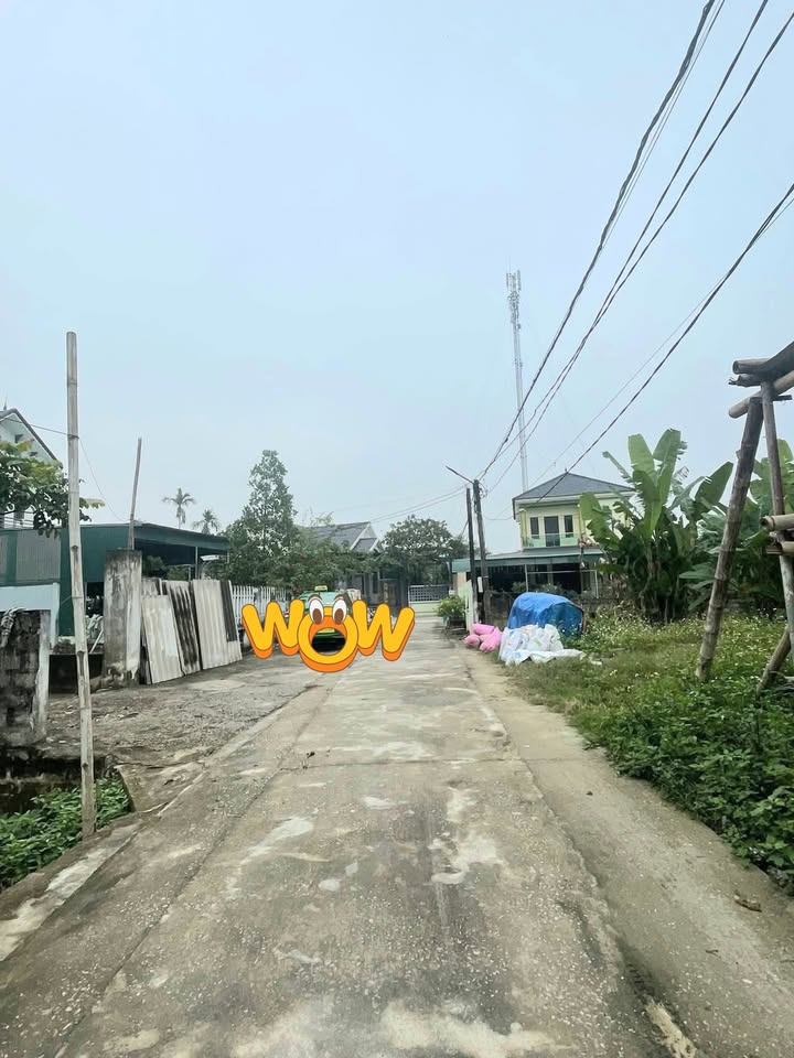 Đất nền Đông Yên 104m² giá 700 triệu - Đầu tư sinh lời ngay!