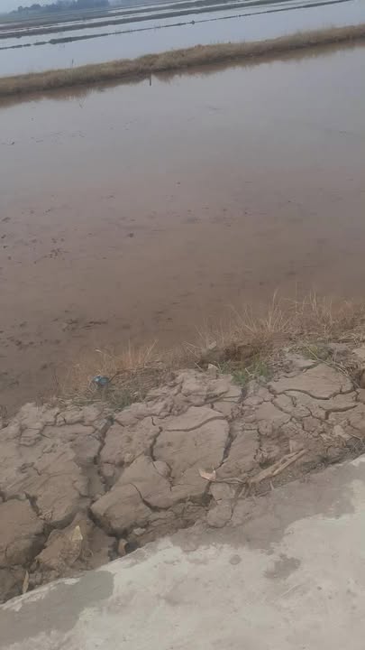 Đất nền Xóm 6, Hải Trung, 152m² giá 1.3 tỷ - Cơ hội đầu tư hấp dẫn!