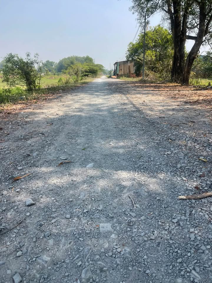 Đất vườn 638m² tại Tỉnh Lộ 2, Củ Chi - Giá 1.5 tỷ - Đầu tư sinh lời!