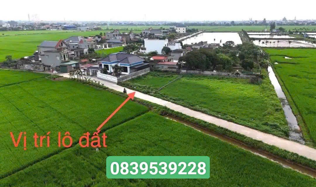 Lô đất thổ cư 162m² tại xóm Lê Lợi, Xuân Ninh - Giá chỉ 1.2 tỷ!