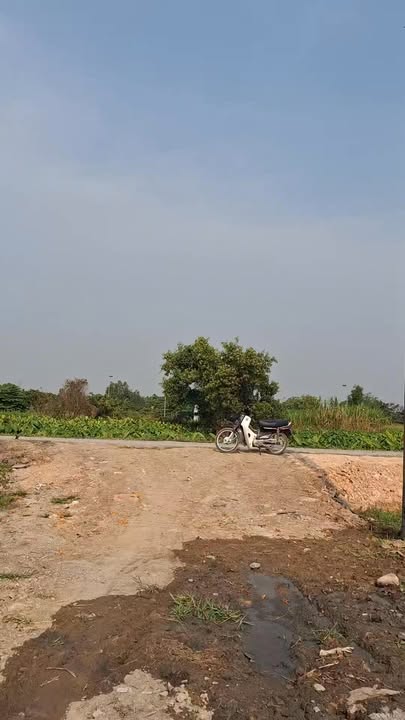 Đất trồng cây Xã Bình Mỹ 500m² giá 1.35 tỷ - Cơ hội đầu tư tuyệt vời!