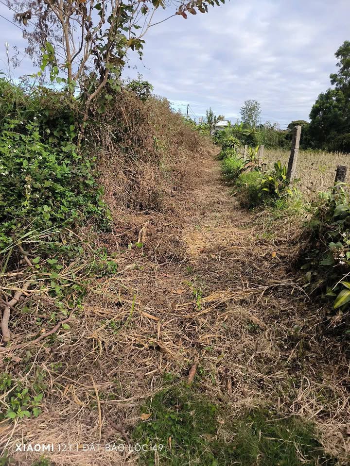 Đất nền Bảo Lộc 3085m² giá 4 tỷ - Pháp lý sổ hồng riêng