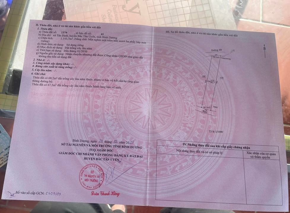 Đất nền Tân Định Quận 1 1000m² giá 790 triệu - Cơ hội đầu tư sinh lời!