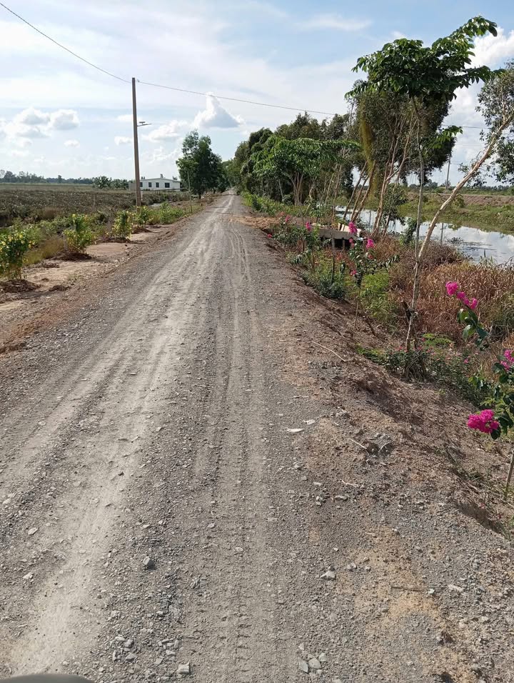 Đất nền 839,9m² tại Khu phố 5, Đồng Tháp - Giá chỉ 650 triệu!