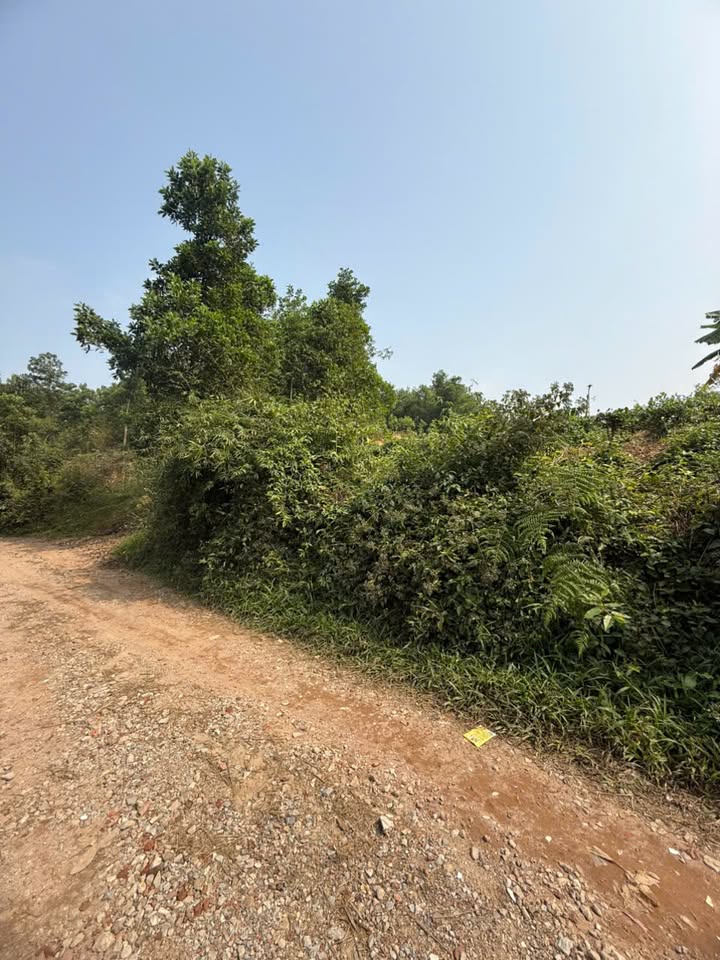 Đất thổ cư 400m² Tân Cương, Thái Nguyên - Mặt tiền 12m, phong thủy tốt!