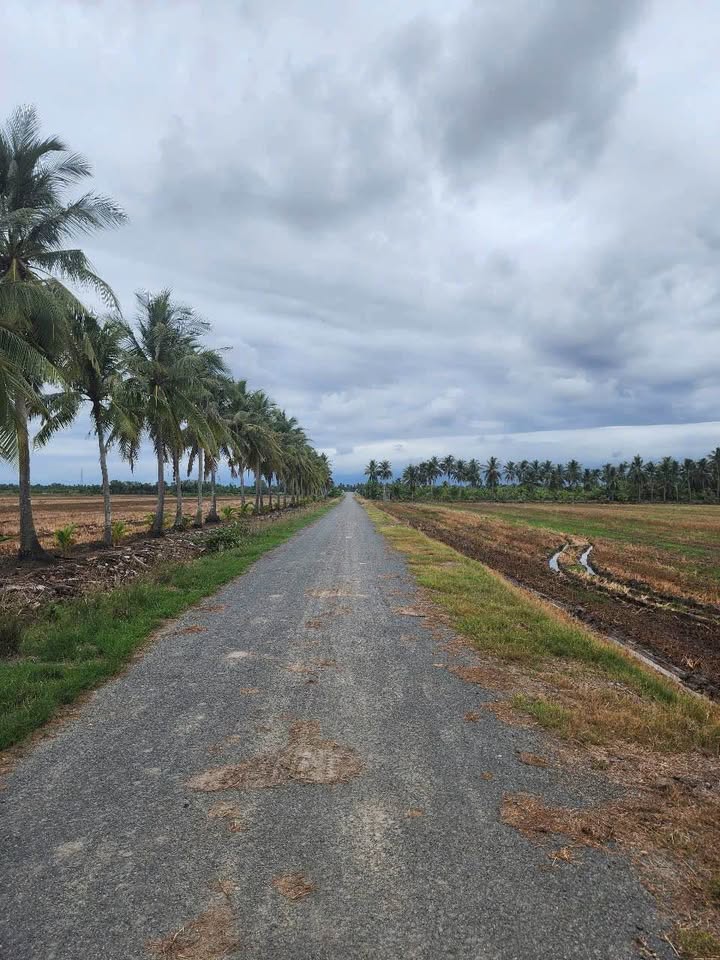 Đất nền đường Tỉnh Lộ 28, Cái Răng, 1060m² giá 2.2 tỷ - Tiềm năng sinh lời cao!