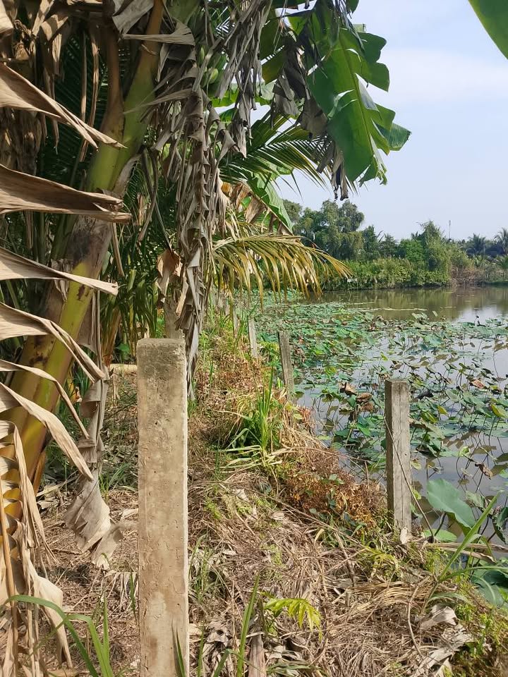 Đất mặt tiền 878, xã Tam Hiệp, 3.800m² - Giá chỉ 4.1 tỷ, đầu tư sinh lời!