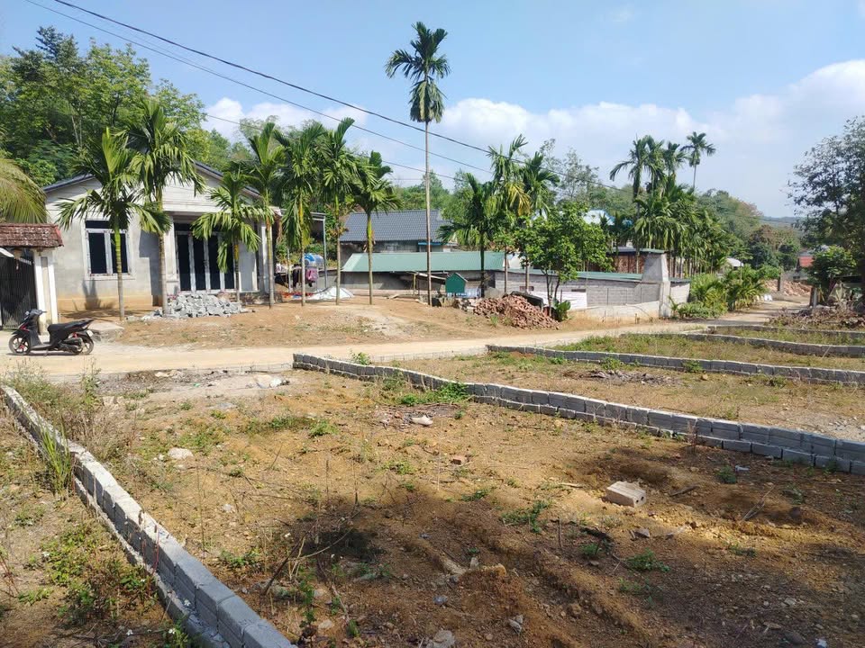 Đất nền 15x21m tại Lạc Lương - Giá 450 triệu - Cần bán gấp!