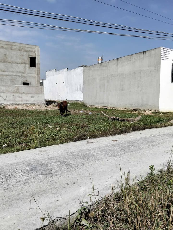 Đất thổ cư Phong Nẫm, Phan Thiết 101m² giá 750 triệu - Cơ hội đầu tư tuyệt vời!