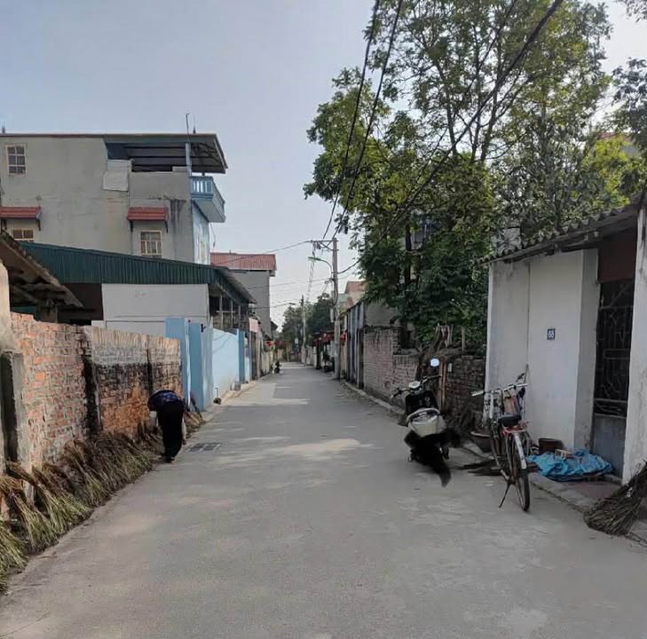 Đất nền Dương Quang, Gia Lâm 88m² giá 3x tỷ - Sổ đỏ chính chủ, 2 mặt tiền đẹp!