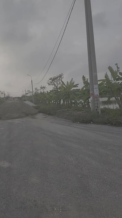 Đất nền Đông Minh, Thanh Hóa 120m² giá 8.XX triệu - Cơ hội đầu tư tuyệt vời!