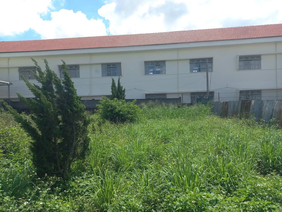 Đất thổ cư 100m² tại Liên Nghĩa, Đức Trọng - Gần chợ chỉ 1 phút đi bộ!