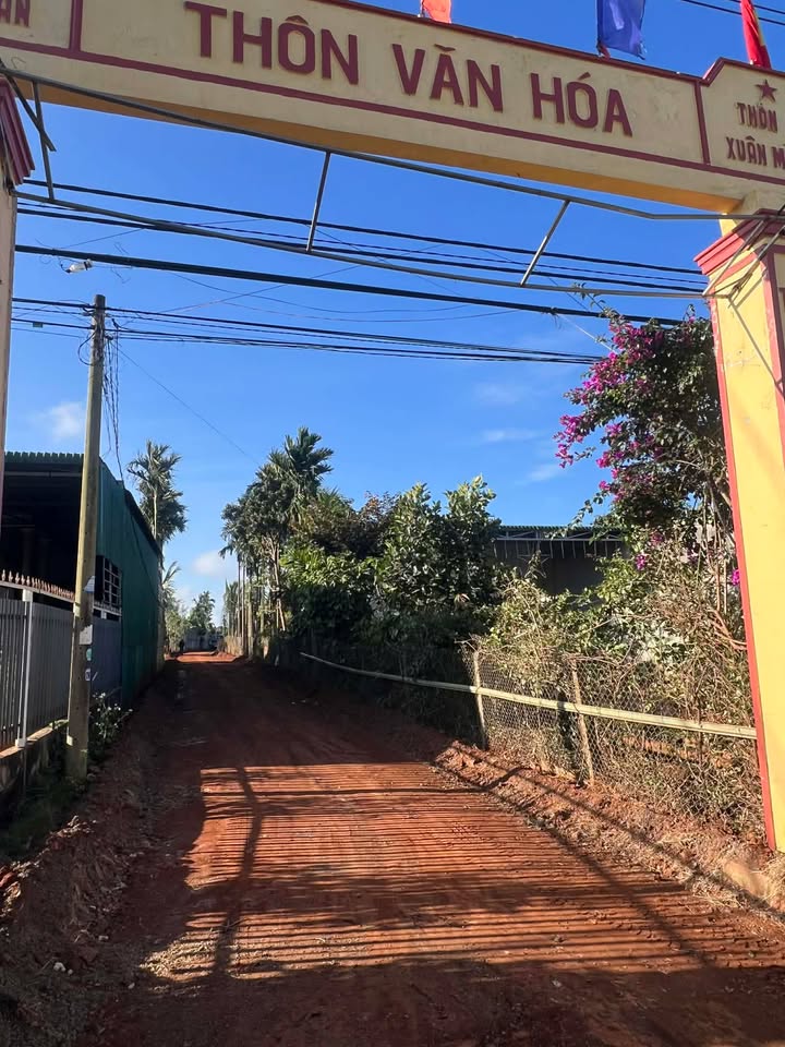 Đất nền xã Phú Xuân, 333m² chỉ 399.6 triệu - Đầu tư sinh lời hấp dẫn!