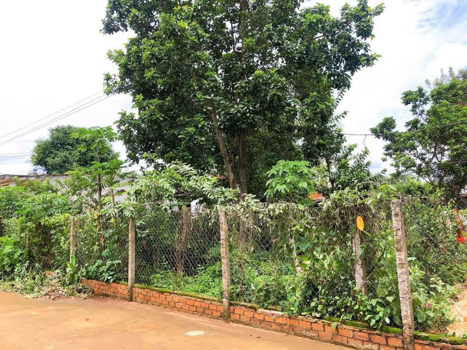 Đất nền Hòa Thắng, Đắk Lắk 130m² giá 1.65 tỷ - Gần sân bay, tiện ích đầy đủ!