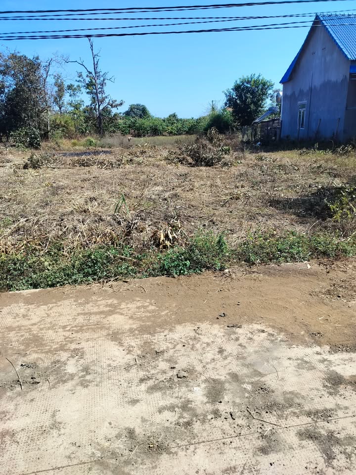 Đất nền Đắk R'La, Đắk Mil 1200m² giá 30 tỷ - Mặt tiền đường bê tông rộng rãi!