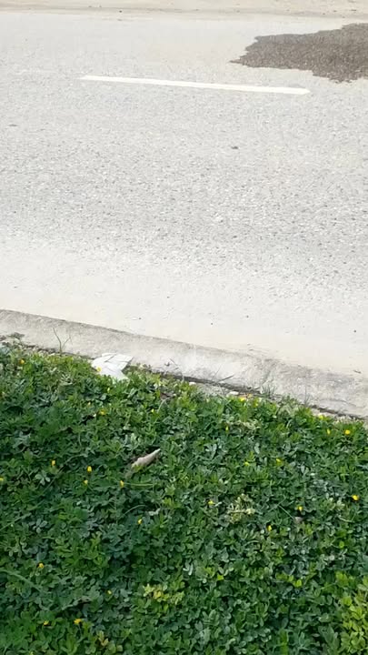 Đất mặt tiền Quốc lộ 3, TP. Bắc Kạn 200m² giá 1.9 tỷ - Đầu tư sinh lời ngay!