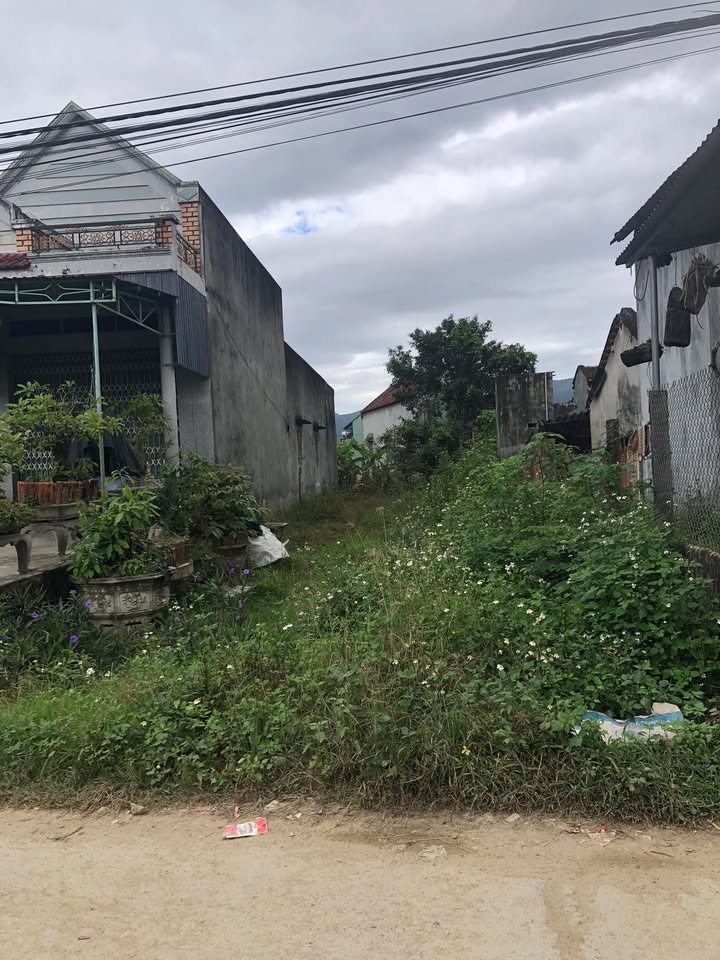 Lô đất 2 mặt tiền tại xã Tây Giang, huyện Tây Sơn, 400m², giá cực tốt!