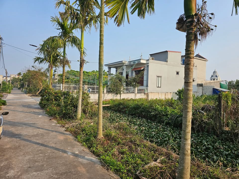 Đất nền Hải Đông - Hải Hậu 300m² giá 1.3 tỷ - Cơ hội đầu tư hấp dẫn!