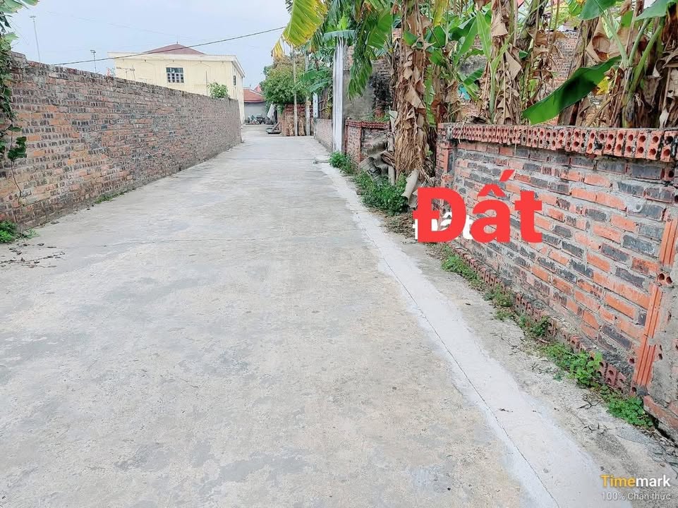 Đất nền tại TDP Tân Sơn, Phường Tân An, 280m² giá tốt - Đầu tư sinh lời!