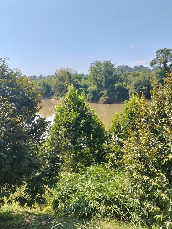 Đất nông nghiệp Đạ Lây 1.9ha giá 6 tỷ - Tiềm năng sinh lời cao!