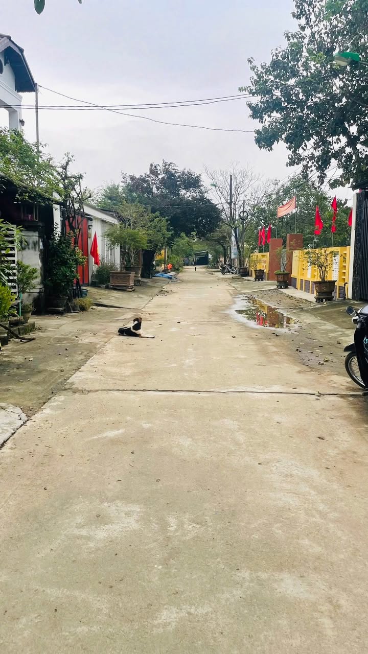 Đất nền Thị xã Quảng Trị 180m² - Vị trí trung tâm, giá thỏa thuận!