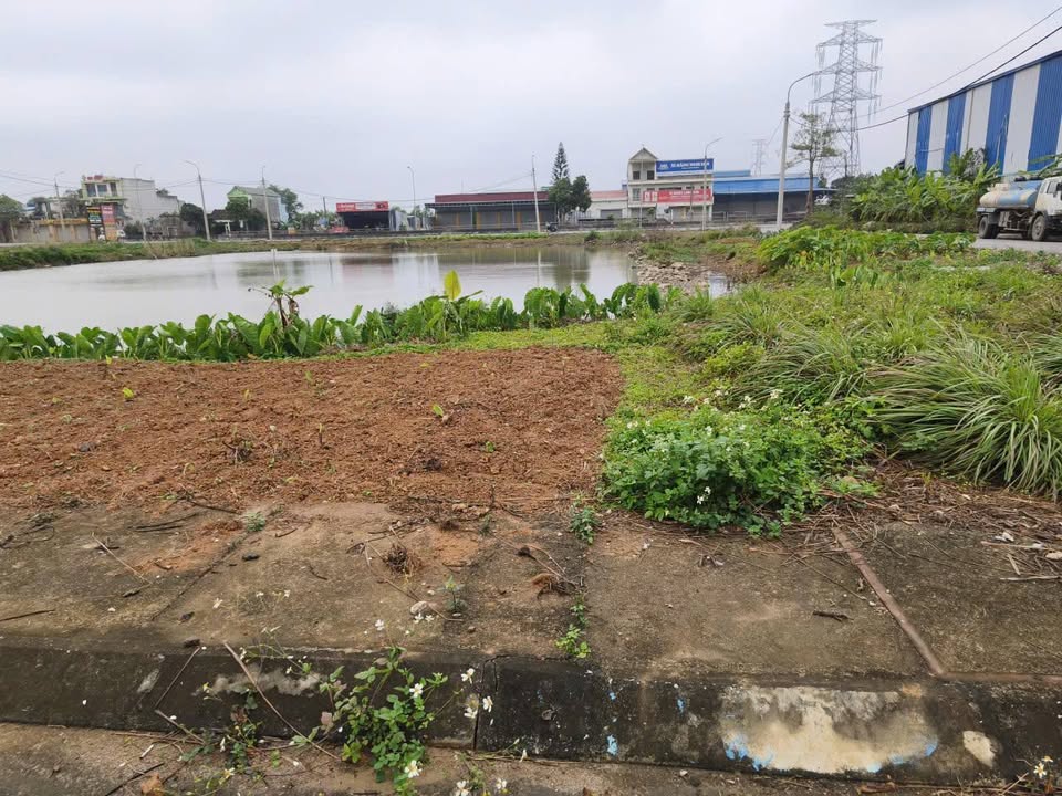 Đất nền lô góc 2 mặt tiền Xã Quảng Ninh, 100m² chỉ 1.3 tỷ - Cơ hội đầu tư tuyệt vời!