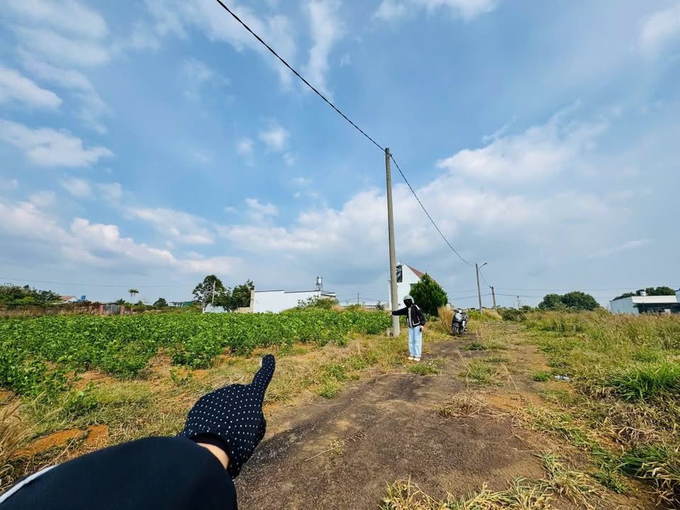 Đất nền Nguyễn Trãi, Bảo Lộc 138m² chỉ 1.45 tỷ - Đầu tư sinh lời ngay!